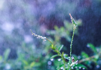 转会动态即时滚动：阿森纳锁定法甲新星，切尔西就迪萨西离队展开谈判