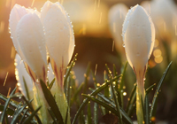 穆里尼奥第8次下课！62岁的他还能续写传奇吗？