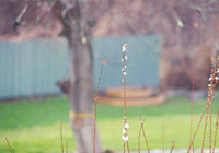 转会动态即时滚动：阿森纳锁定法甲新星，切尔西就迪萨西离队展开谈判