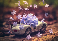 穆里尼奥第8次下课！62岁的他还能续写传奇吗？